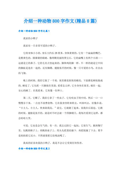 介绍一种动物800字作文(精品8篇).doc