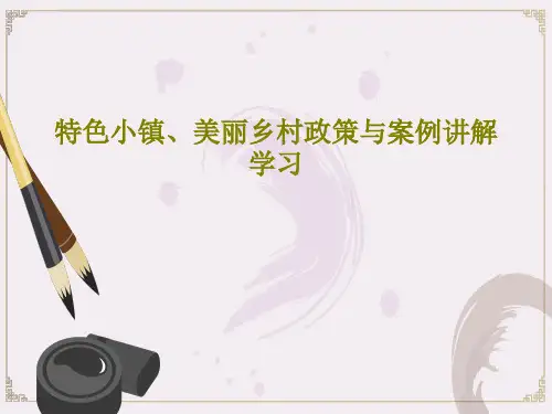 特色小镇、美丽乡村政策与案例讲解学习33页PPT