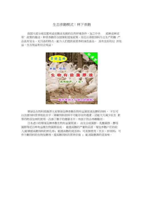 生态养鹅模式：林下养鹅