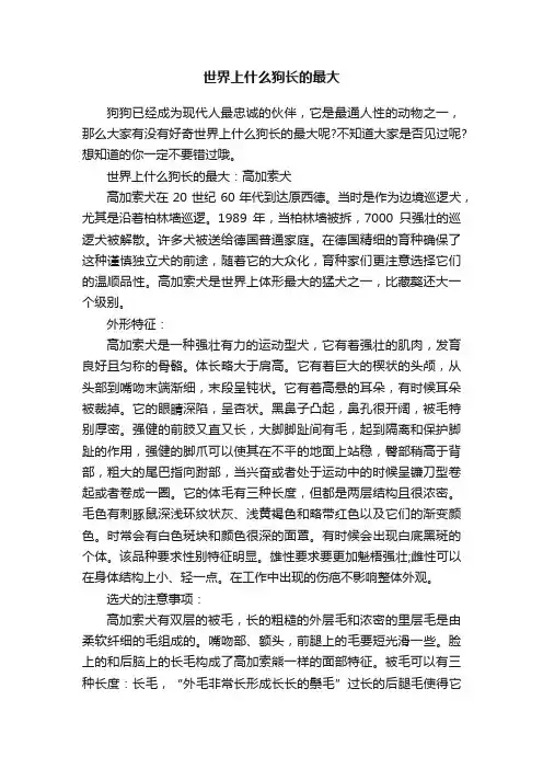 世界上什么狗长的最大