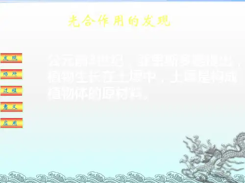 《光合作用专题复习》PPT课件