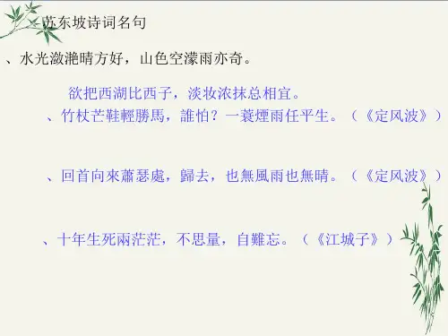 石钟山记PPT(优秀课件)71 人教版