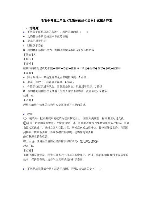 生物中考第二单元《生物体的结构层次》试题含答案