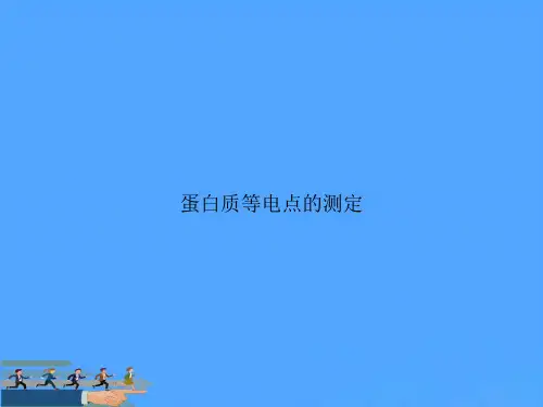 蛋白质等电点的测定优选PPT资料