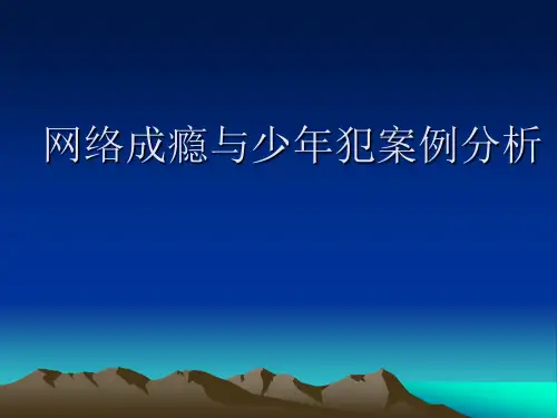 网瘾引起青少年犯罪案例分析