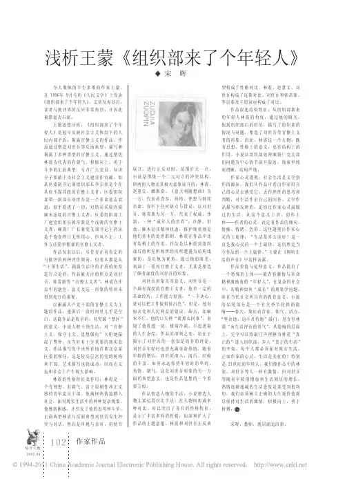 浅析王蒙_组织部来了个年轻人_宋晖