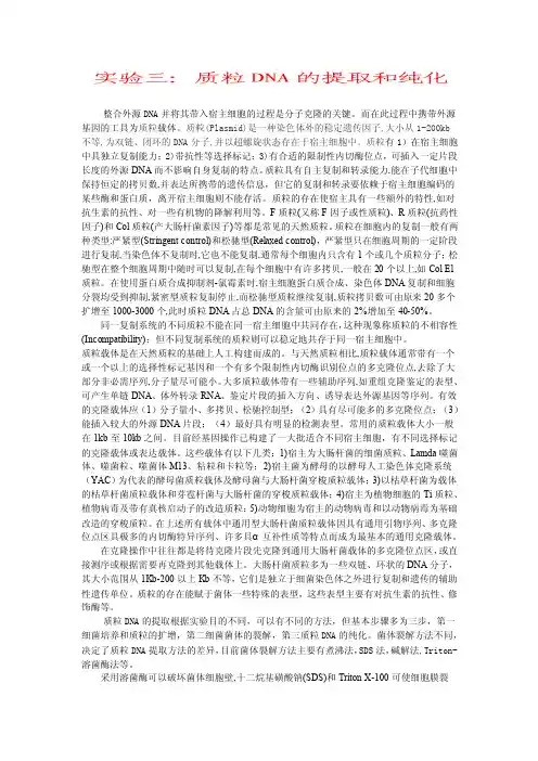 质粒DNA的提取和纯化
