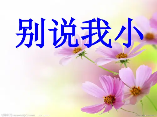 幼教幼儿园优秀课件PPT-中班语言别说我小