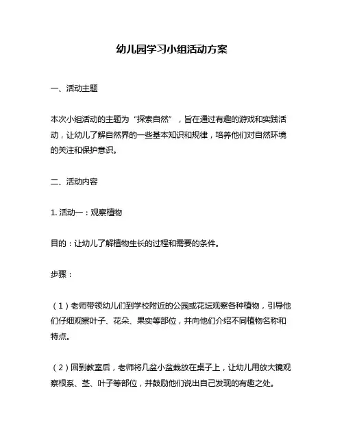 幼儿园学习小组活动方案