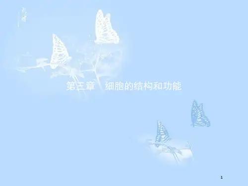 高中生物 第三章 细胞的结构和功能 3.1 生命活动的基本单位——细胞课件 苏教版必修1