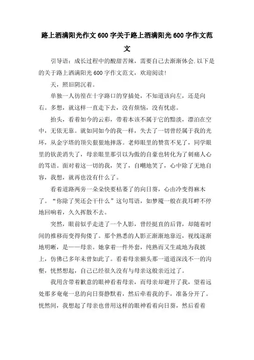 路上洒满阳光作文600字关于路上洒满阳光600字作文范文