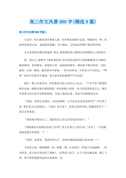高三作文风景800字(精选9篇)