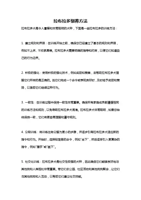 拉布拉多驯养方法