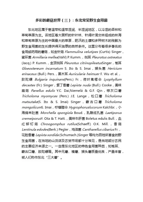 多彩的蘑菇世界（三）：东北常见野生食用菌