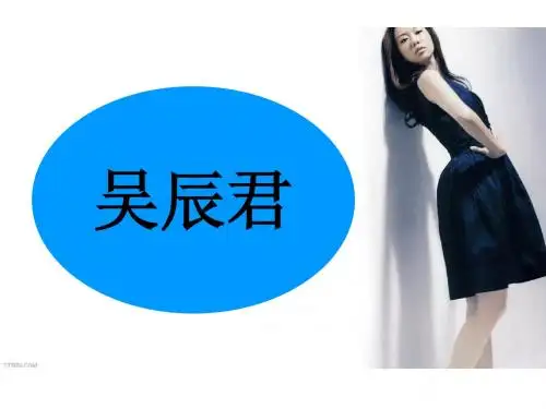 吴辰君