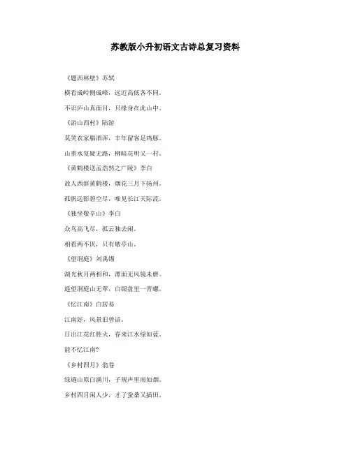 苏教版小升初语文古诗总复习资料