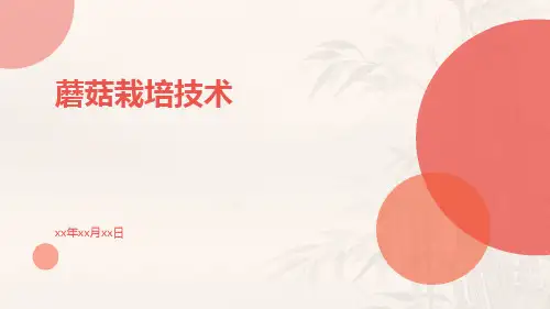 蘑菇栽培技术
