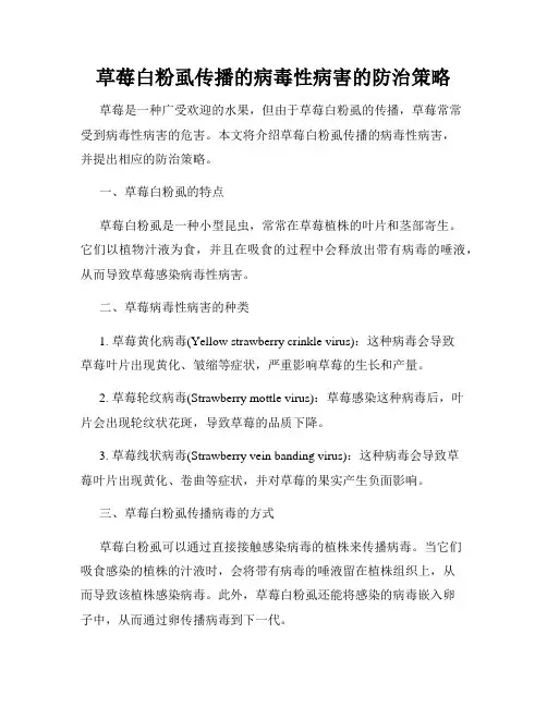 草莓白粉虱传播的病毒性病害的防治策略