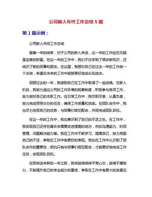 公司新人年终工作总结5篇