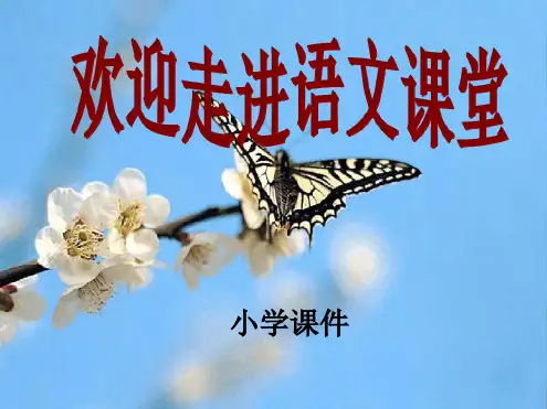 五年级语文细节描写课件