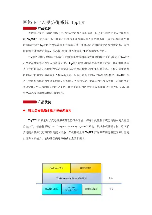 9天融信IDP
