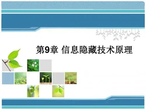 第9章 信息隐藏技术原理-《物联网安全导论》