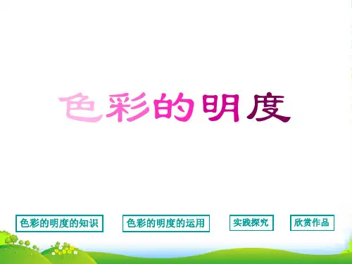 五年级美术上册 色彩的明度课件 人美版