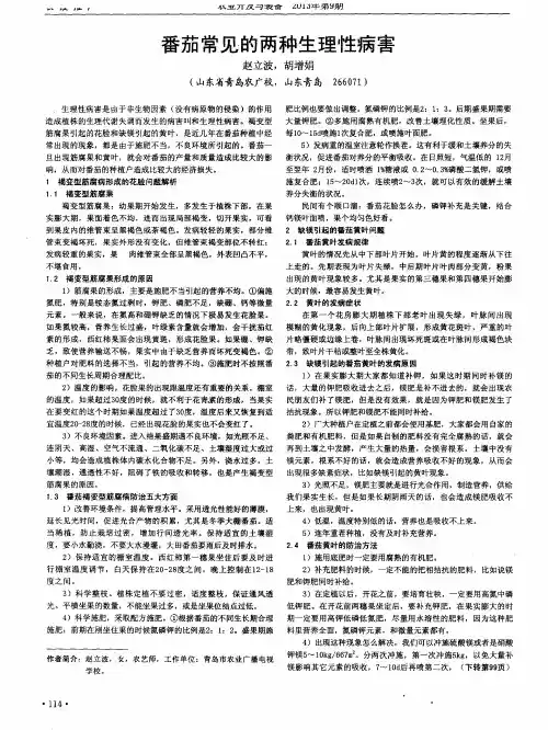 番茄常见的两种生理性病害