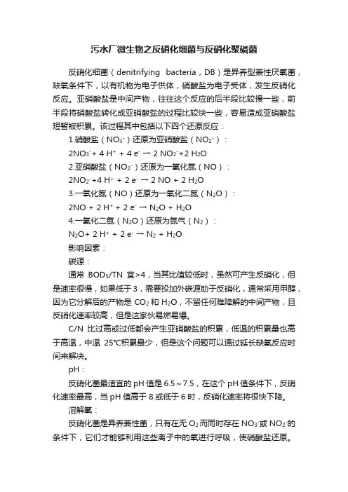 污水厂微生物之反硝化细菌与反硝化聚磷菌
