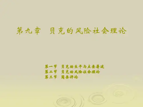 第九章   贝克的风险社会理论