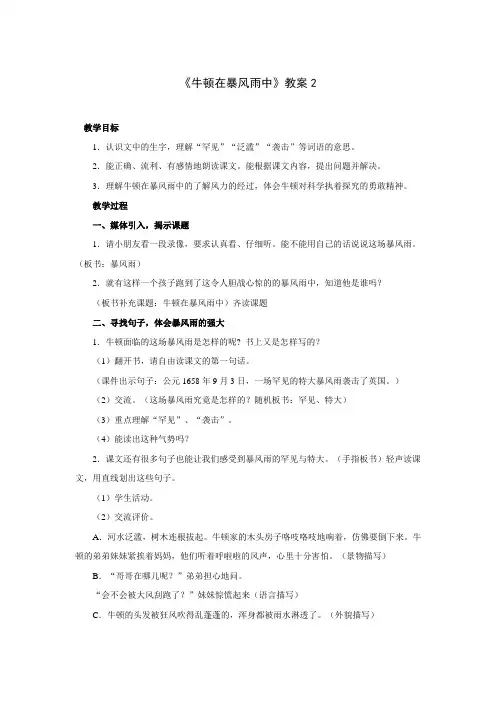 牛顿在暴风雨中_教案2