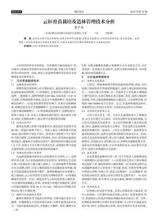 云杉育苗栽培及造林管理技术分析