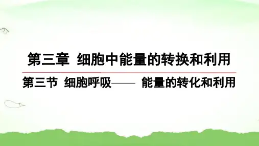 第3节-细胞呼吸—— 能量的转化和利用高中生物必修一苏教版
