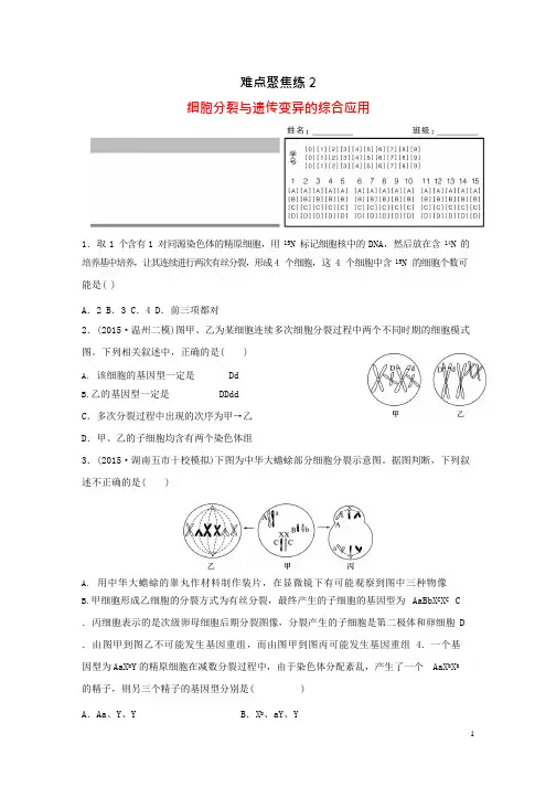 (完整版)高考生物大二轮总复习增分策略难点聚焦练2细胞分裂与遗传变异的综.总结,推荐文档