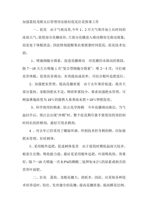 加强荔枝龙眼灾后管理切实做好促花壮花保果工作