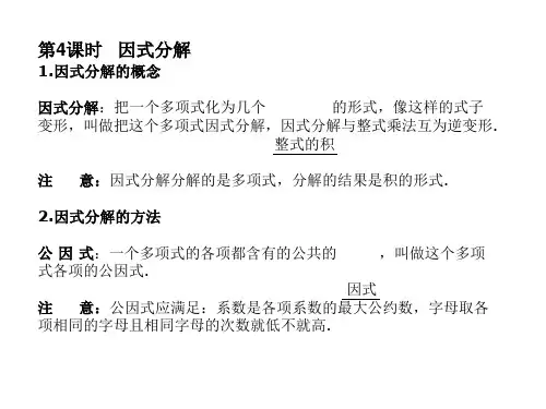 2013中考数学复习课件因式分解+分式(浙教版)