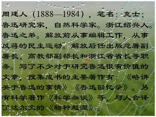 蜘蛛 (PPT)3-1