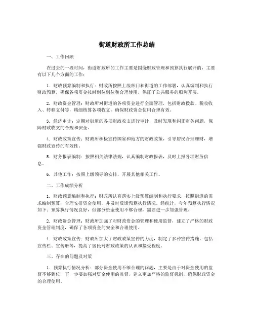 街道财政所工作总结