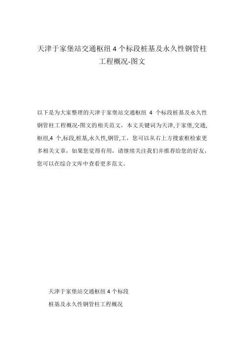 天津于家堡站交通枢纽4个标段桩基及永久性钢管柱工程概况-图文