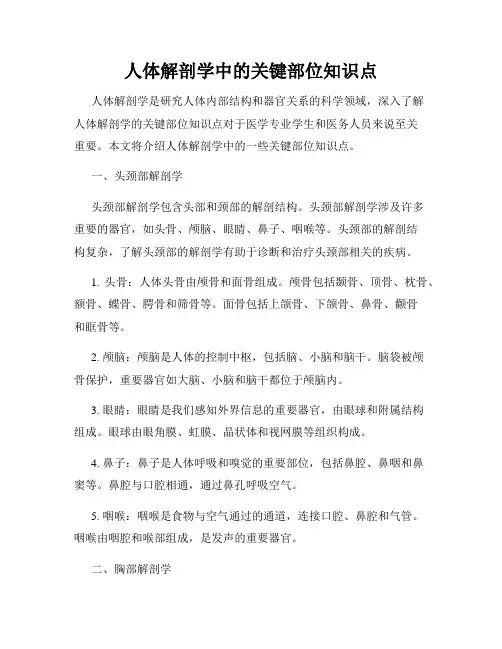 人体解剖学中的关键部位知识点