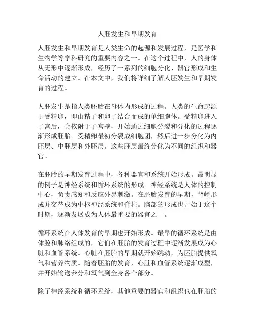人胚发生和早期发育 