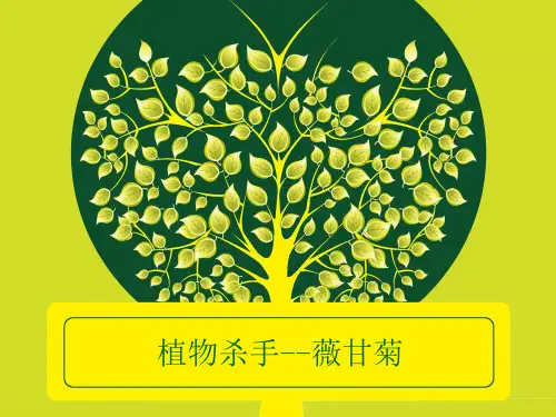 薇甘菊
