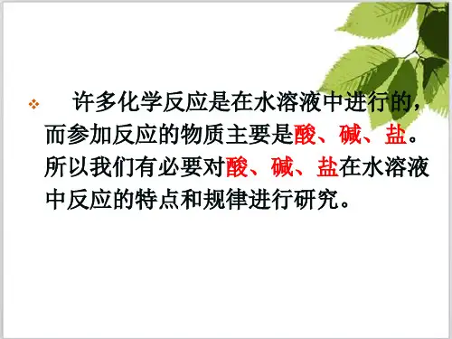 人教版高中化学必修一第二章第二节离子反应  课件(共18张PPT)