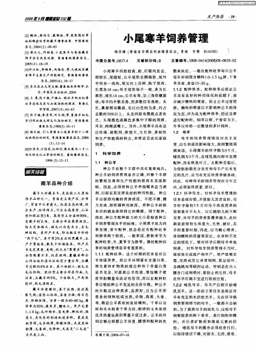 小尾寒羊饲养管理