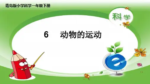 3月27日-小学一年级科学-《动物的运动》课件