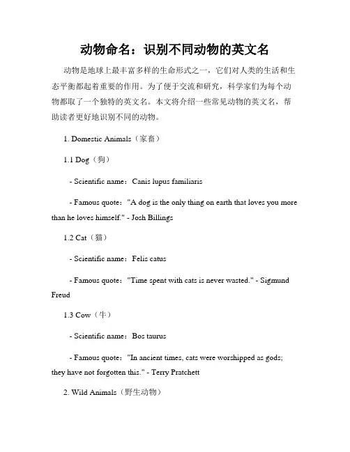 动物命名：识别不同动物的英文名