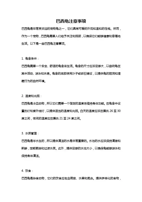 巴西龟注意事项