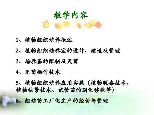 概述——植物组织培养技术概论_PPT幻灯片
