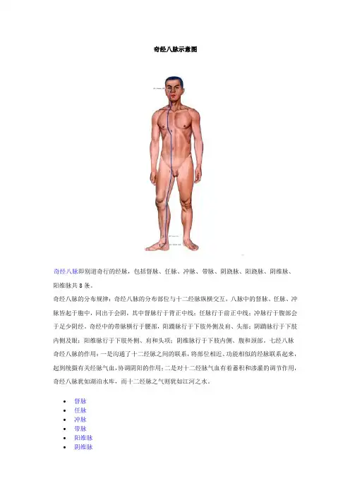 奇经八脉示意图