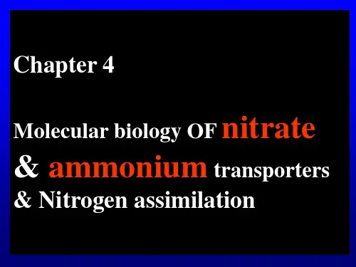 植物营养的分子生物学 Chapter4 nitrogen